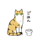 うちの猫(ヴァル)スタンプ（個別スタンプ：25）