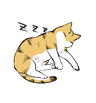 うちの猫(ヴァル)スタンプ（個別スタンプ：30）