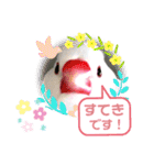 普段使い..かわいい文鳥スタンプ（個別スタンプ：14）