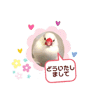 普段使い..かわいい文鳥スタンプ（個別スタンプ：16）