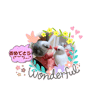 普段使い..かわいい文鳥スタンプ（個別スタンプ：22）