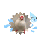 普段使い..かわいい文鳥スタンプ（個別スタンプ：28）