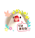 普段使い..かわいい文鳥スタンプ（個別スタンプ：35）
