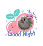 普段使い..かわいい文鳥スタンプ（個別スタンプ：36）