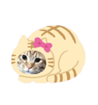 わん子にゃん子（個別スタンプ：13）