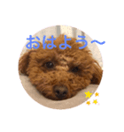 トイプララ（個別スタンプ：4）