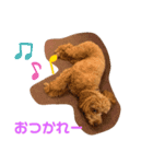 トイプララ（個別スタンプ：7）