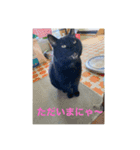 クロネコノジジチャン（個別スタンプ：3）