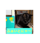 クロネコノジジチャン（個別スタンプ：4）