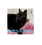クロネコノジジチャン（個別スタンプ：8）