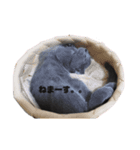 こゆきちやんスタンプ（個別スタンプ：9）