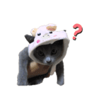 こゆきちやんスタンプ（個別スタンプ：10）