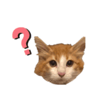 モフちゃんスタンプ！（個別スタンプ：7）