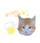 モフちゃんスタンプ！（個別スタンプ：9）