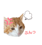 モフちゃんスタンプ！（個別スタンプ：12）
