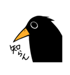 圧力がある辛辣な鳥（個別スタンプ：3）