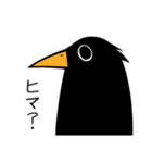 圧力がある辛辣な鳥（個別スタンプ：13）