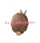 ささうさ3（個別スタンプ：2）