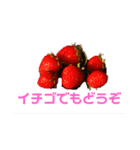 ささうさ3（個別スタンプ：3）
