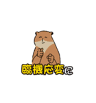 しゃーみんのスタンプ！（個別スタンプ：1）