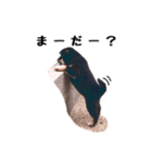 黒柴おこげの日常（個別スタンプ：18）