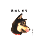 黒柴おこげの日常（個別スタンプ：24）