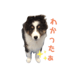 アレちゃん（個別スタンプ：2）