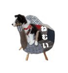 アレちゃん（個別スタンプ：5）