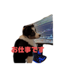 アレちゃん（個別スタンプ：7）