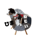 アレちゃん（個別スタンプ：10）