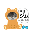 愉快なニャンず(=^x^=)（個別スタンプ：18）