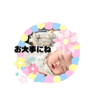 きおる広場（個別スタンプ：12）