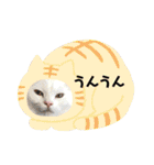 きおる広場（個別スタンプ：13）