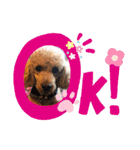 オーランド！（個別スタンプ：9）