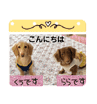 仲良しワンコ くぅ＆らら（個別スタンプ：5）