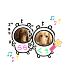 仲良しワンコ くぅ＆らら（個別スタンプ：8）