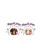 仲良しワンコ くぅ＆らら（個別スタンプ：9）