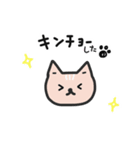 ねこねこぱらだいす1（個別スタンプ：7）