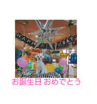 マルチーズのうずらくん（個別スタンプ：25）