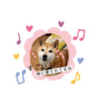 こなたんとお友達スタンプ（個別スタンプ：5）