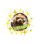 こなたんとお友達スタンプ（個別スタンプ：10）