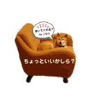 こなたんとお友達スタンプ（個別スタンプ：19）