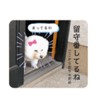こなたんとお友達スタンプ（個別スタンプ：22）