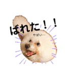 こなたんとお友達スタンプ（個別スタンプ：30）