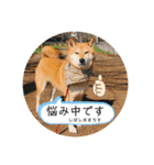 こなたんとお友達スタンプ（個別スタンプ：32）