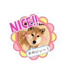 こなたんとお友達スタンプ（個別スタンプ：33）