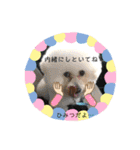 こなたんとお友達スタンプ（個別スタンプ：37）