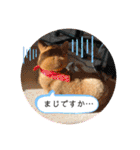 こなたんとお友達スタンプ（個別スタンプ：38）
