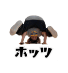 DopRoup Stickers.（個別スタンプ：9）