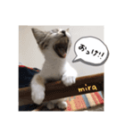 ミラの日常スタンプ（個別スタンプ：2）